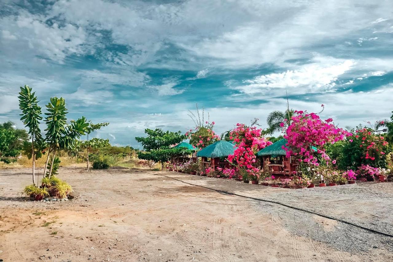 Airport View Hotel Vigan Exterior photo