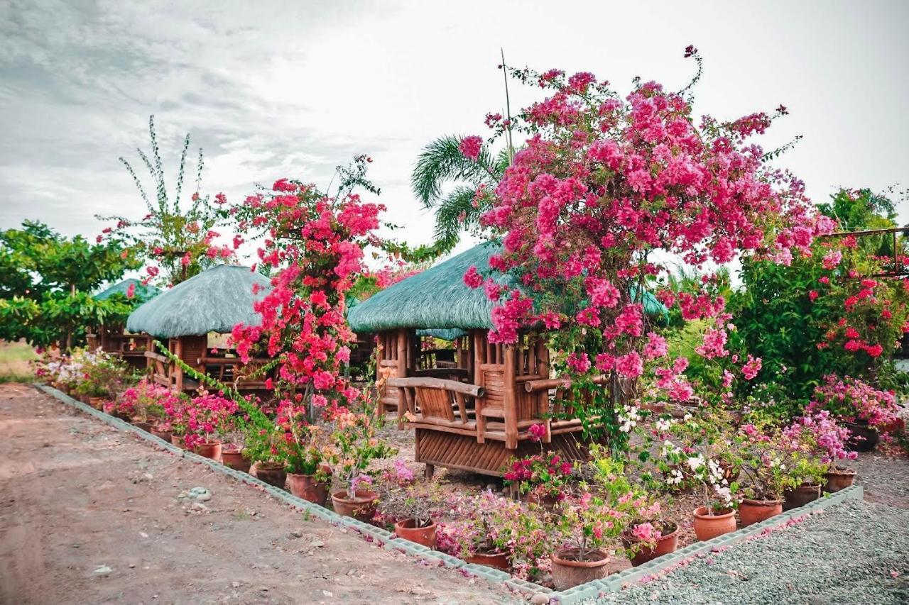 Airport View Hotel Vigan Exterior photo