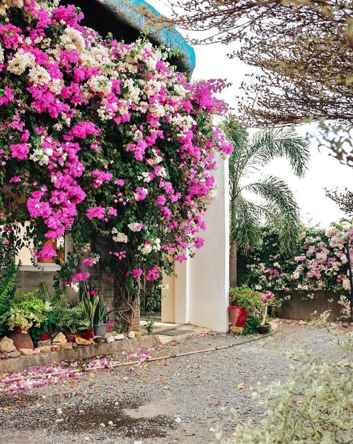 Airport View Hotel Vigan Exterior photo
